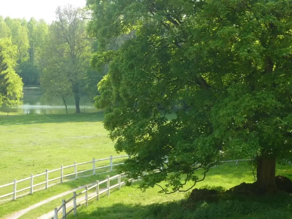 Domaine de Vadancourt - Miniature 6