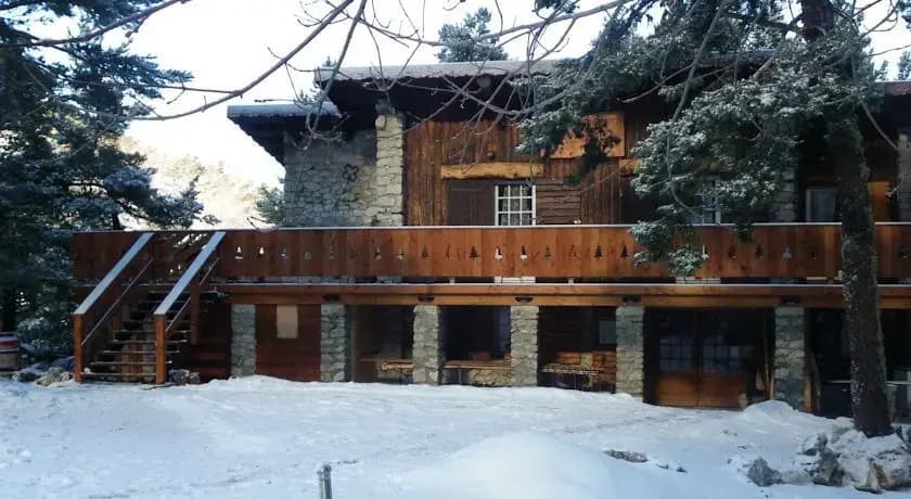 Chalet Ventoux Serein - Chambres d'hôtes - Photo 5