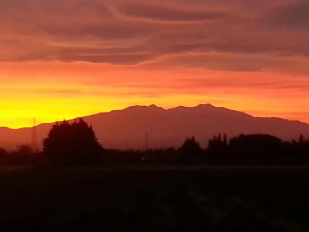 Domaine Mas Bazan - Photo 4