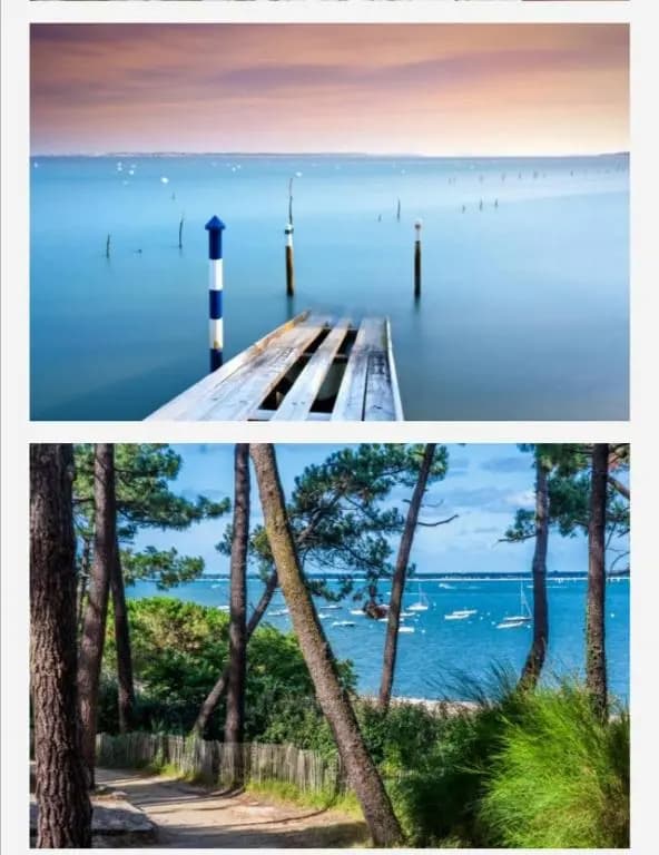 Appartement vue sur baie et océan, 100 m de la plage et du centre par chemin privé - Miniature 8