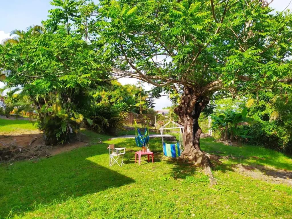 Studio Goyave - Miniature 6