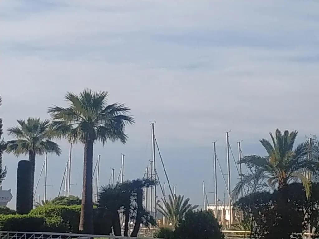 Studio Rez de jardin Marina baie des Anges - Photo 2