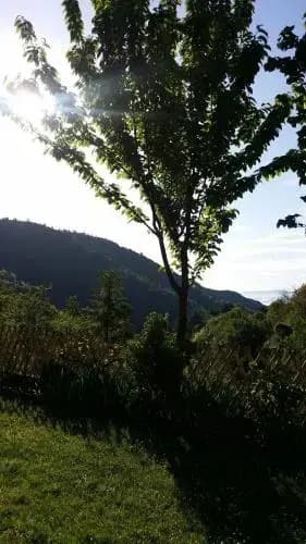 Casa di l'Apa - Photo 4