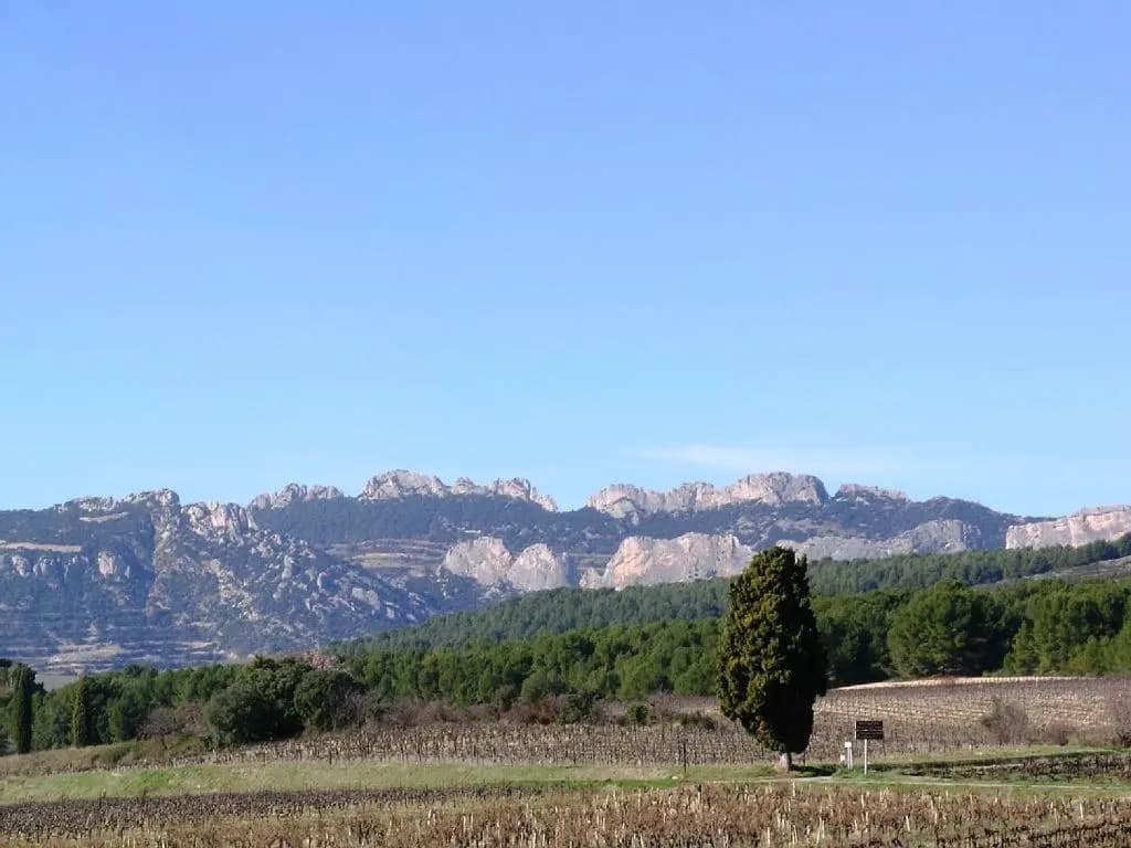 La Bastidelle - Photo 3