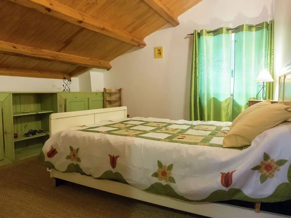 Beautiful Holiday Home in Saugues near Forest - Photo 5