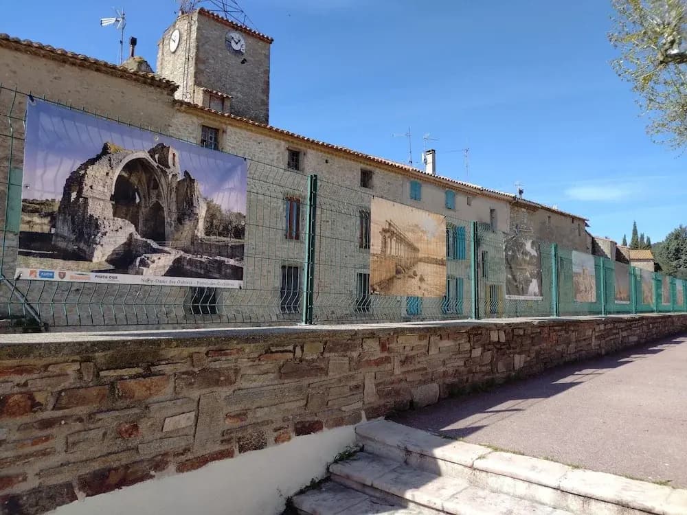 Gîte et Chambres d'hôtes  Le Coq du Nord - Mailhac - Photo 1