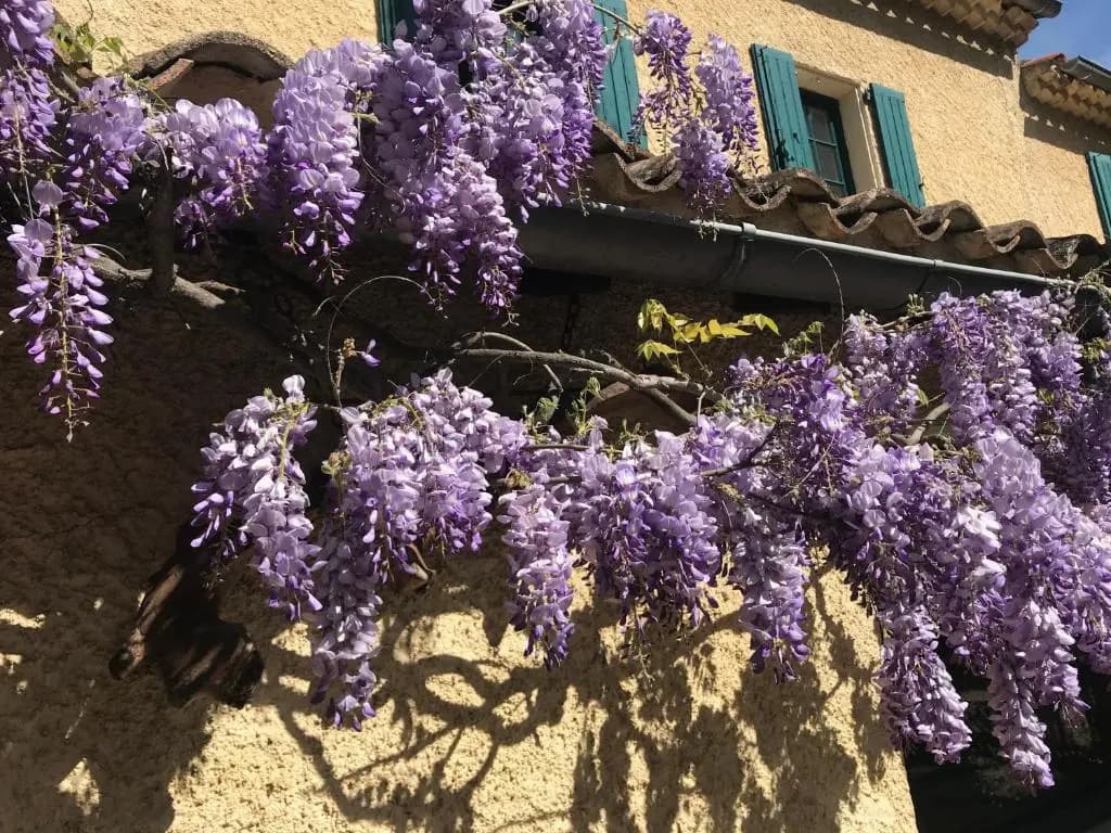 Les Montades Chambres d'Hôtes - Photo 1