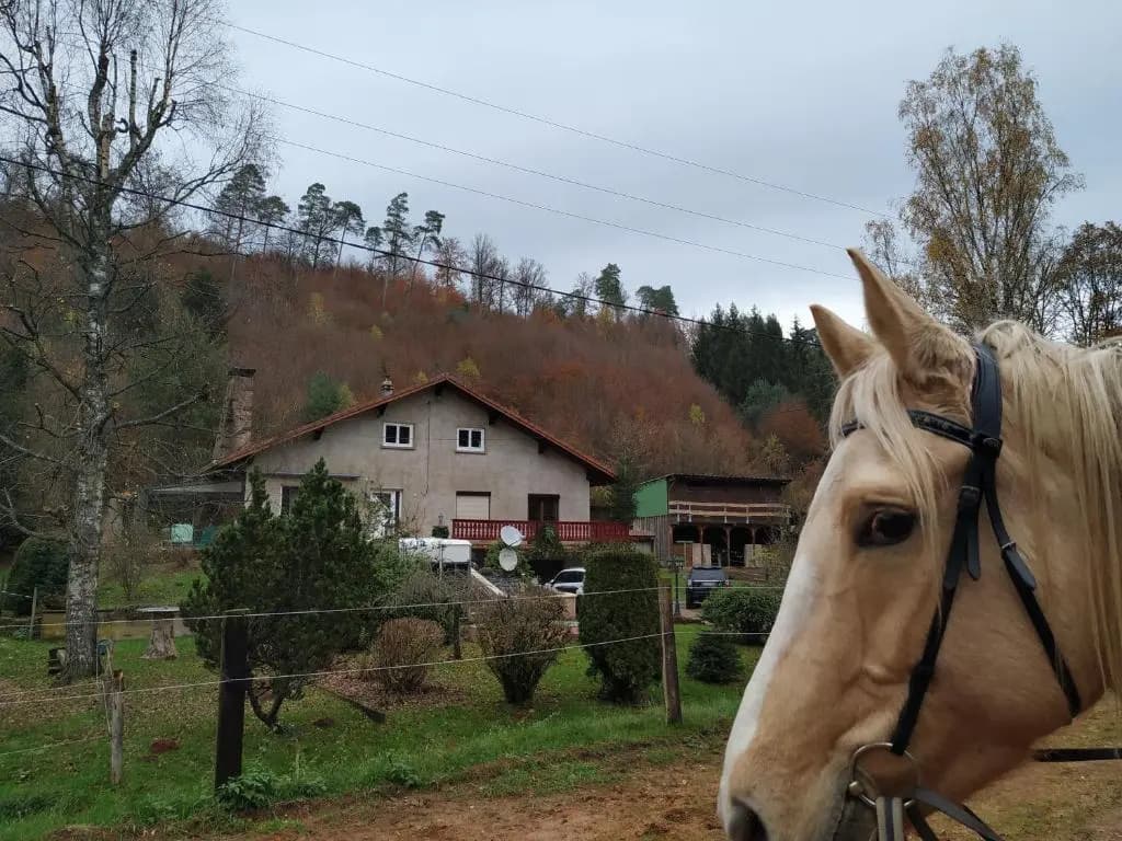 Gîte De La Vallée - Photo 5