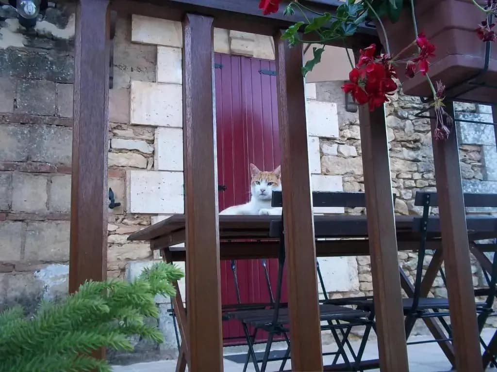 Ferme de Lagrave - Miniature 8