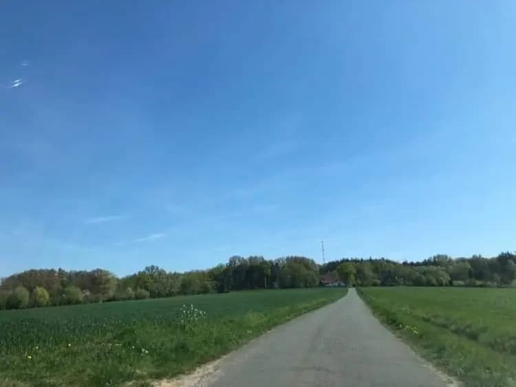 Katshof - Photo 4