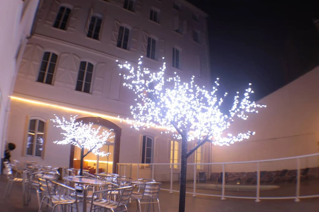 Hôtel Riquet - Miniature 8