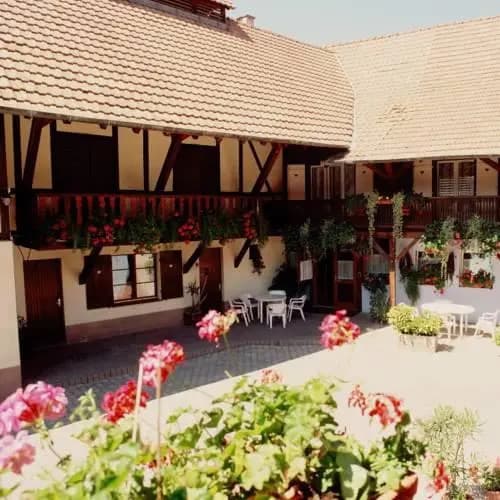 Les Hirondelles - Miniature 7