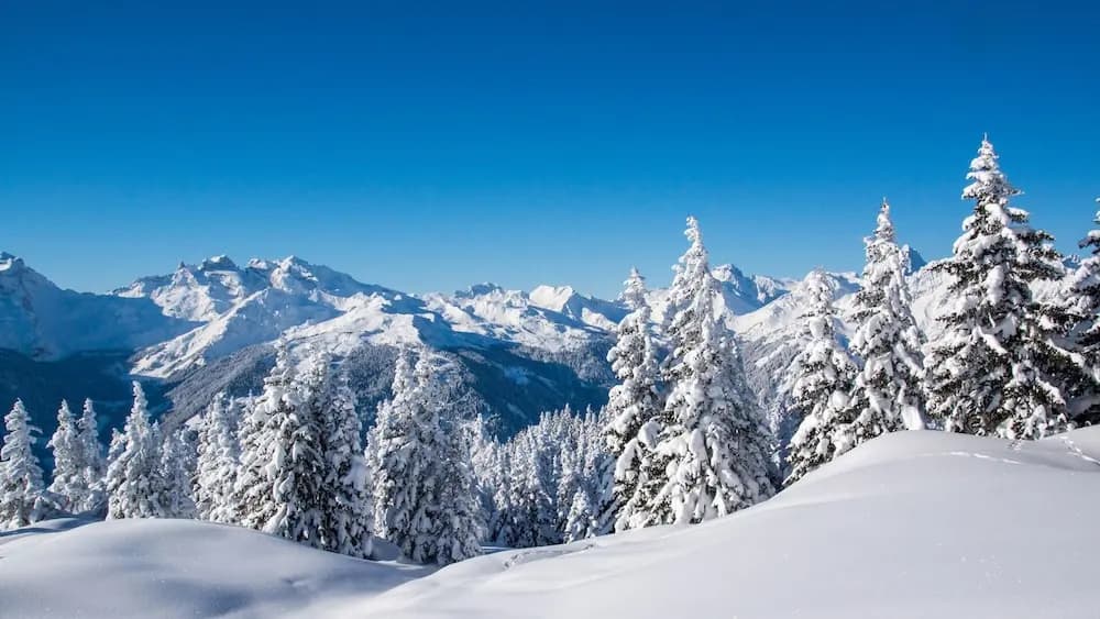 morzine 1000 - Miniature 8
