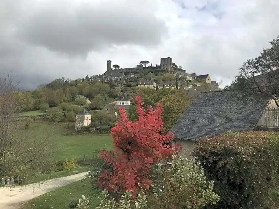Manoir de Rieuzal - Miniature 8