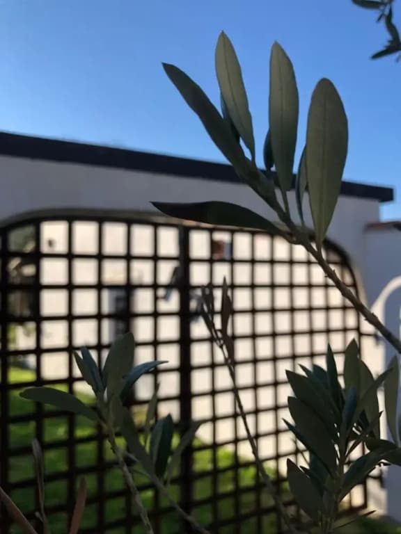Hôtel Mas le Sauvageon - Photo 1