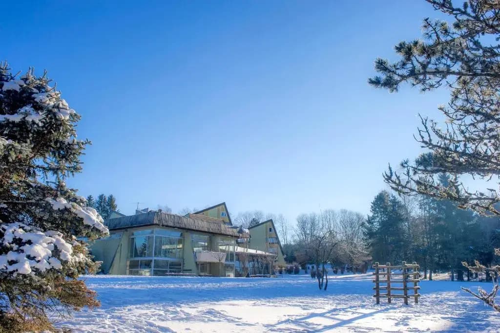Le Domaine des Puys - Photo 5