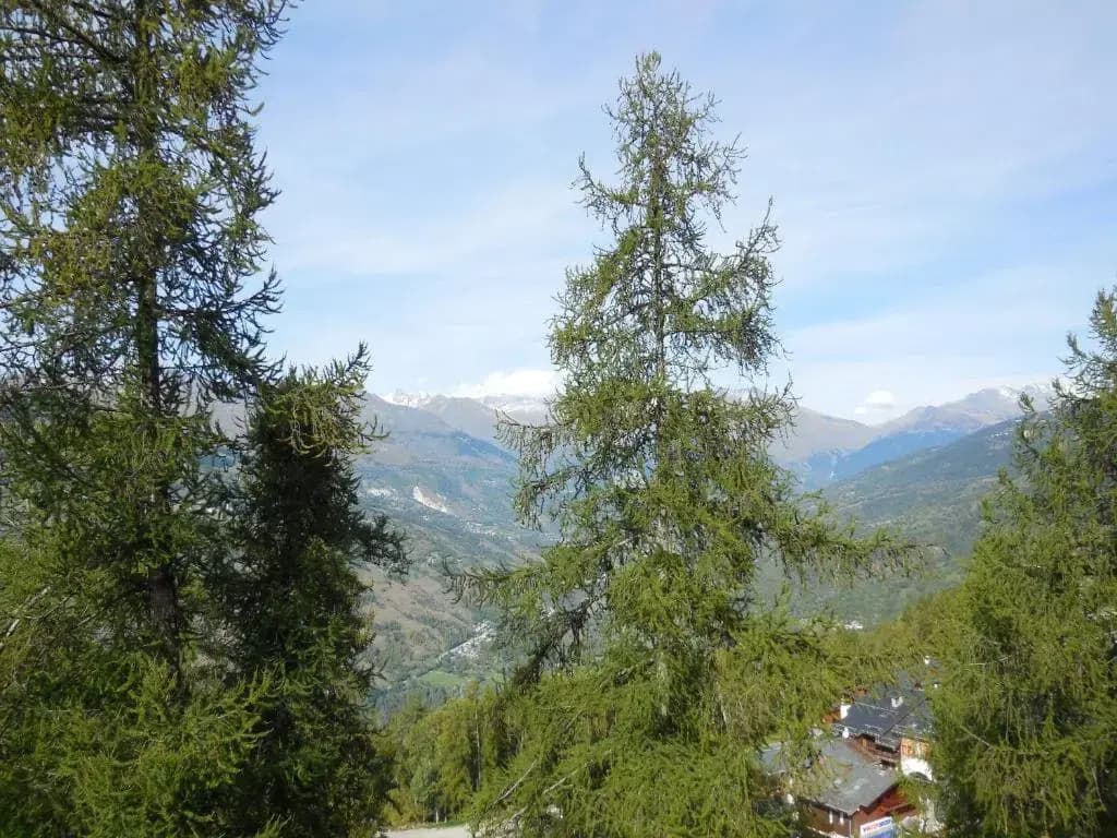 Appartement La Plagne, 1 pièce, 4 personnes - FR-1-353-74 - Miniature 8