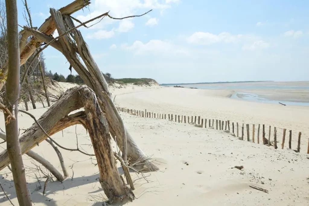 HAMAC - vue mer - 100M PLAGE - Photo 3