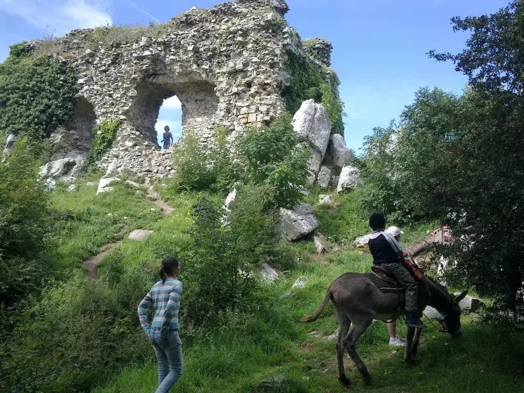 Ecuries Leseigneur - Gite - Photo 2