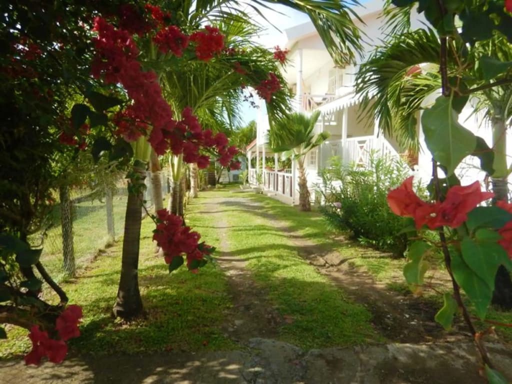 Appartement de 3 chambres a Le Vauclin a 150 m de la plage avec piscine privee jardin amenage et wifi - Miniature 7