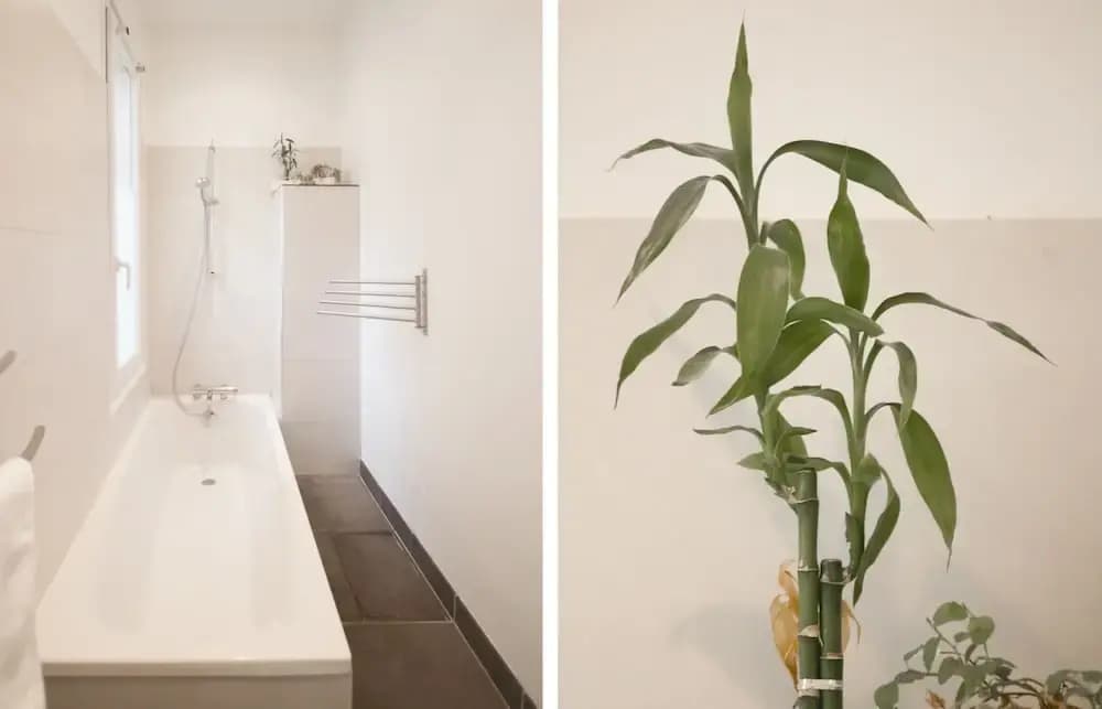 Appartement Gallien - Miniature 6