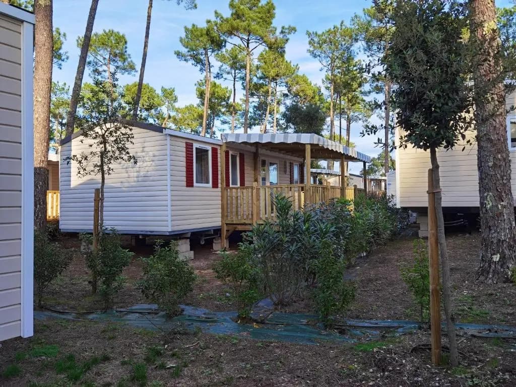 Bungalow de 3 chambres avec piscine partagee jardin amenage et wifi a Saint Julien en Born - Photo 3