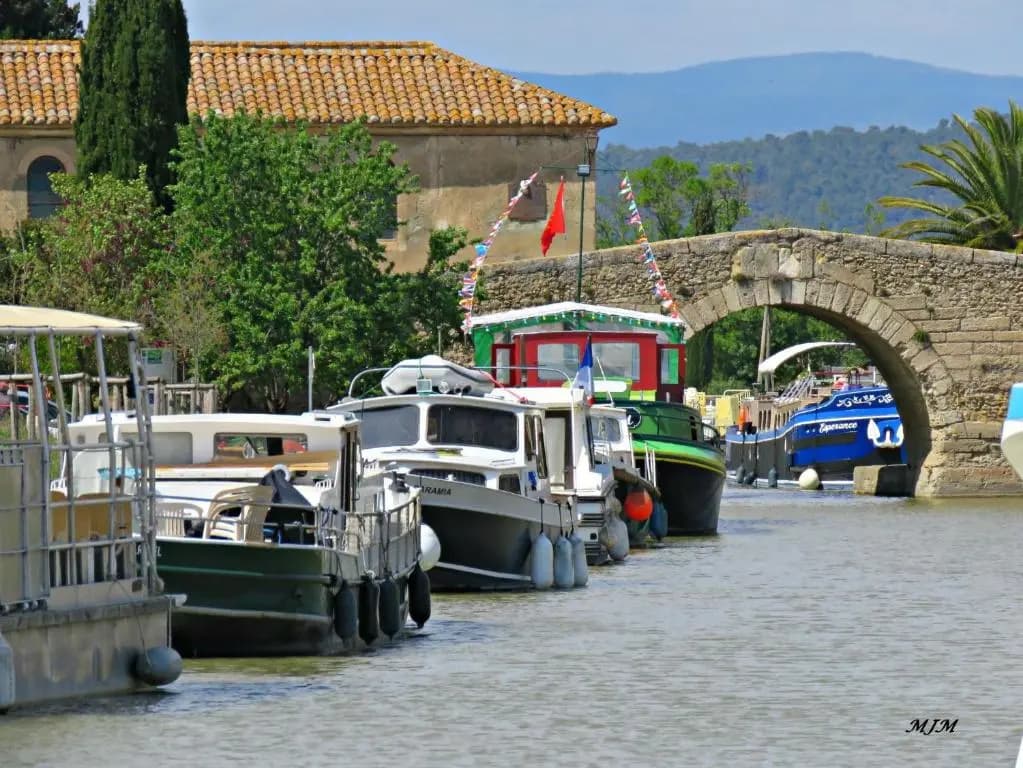 Gite CATHARE en OCCITANIE - Photo 3