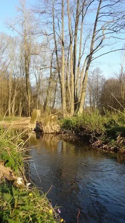 La Belle Moriniere - Photo 2
