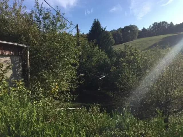 CAP NATURE - COSY T1 T3 T5 à 3km de Périgueux - Photo 5