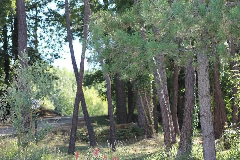Les hauts de lastours - Miniature 6