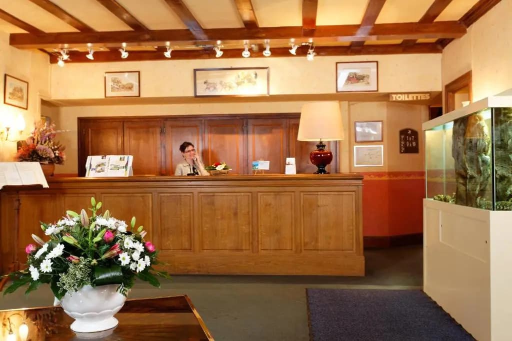 Brit Hotel du Dauphin - Photo 1