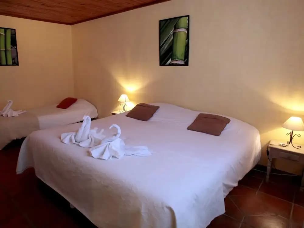 Le Pressoir - Photo 5