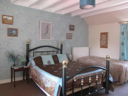 Les Perroquets - Photo 2