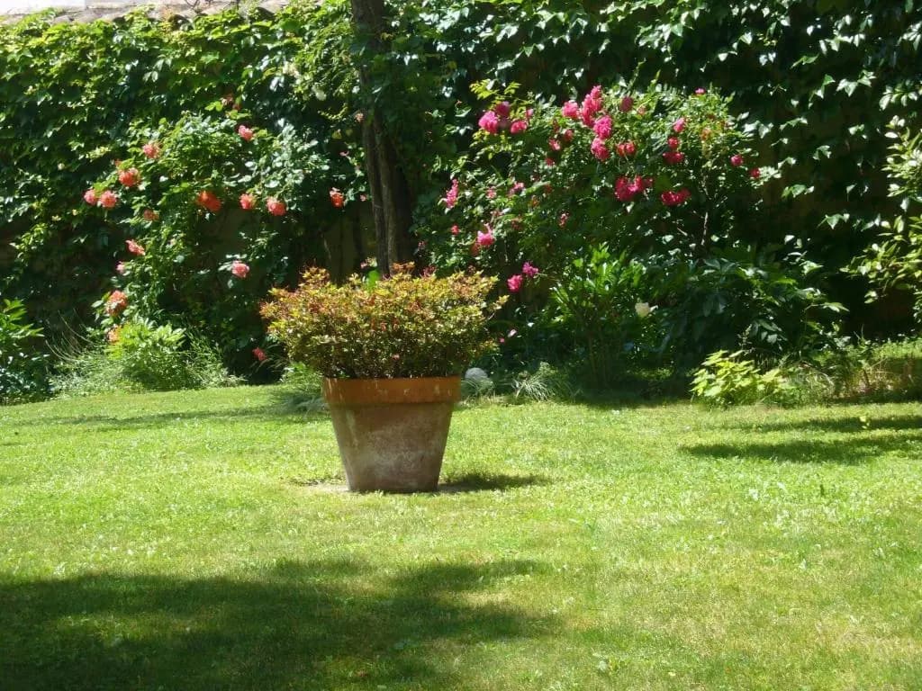 Le Jardin de Beauvoir - Miniature 7