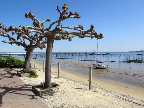 Estivel - Cap Ferret - T2 Duplex 2/4 Pax - Miniature 6