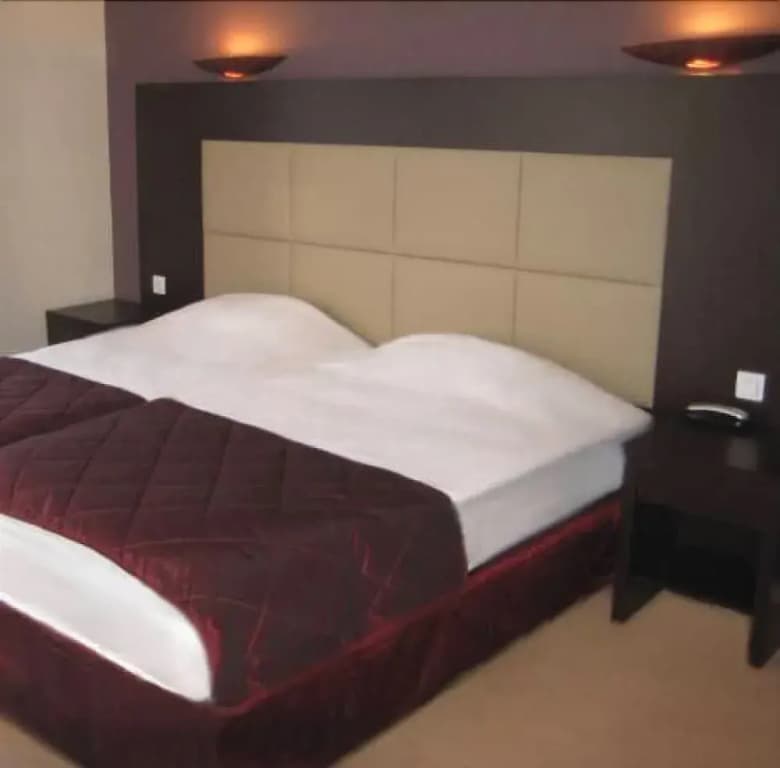 Savoy Hôtel Evian - Photo 2