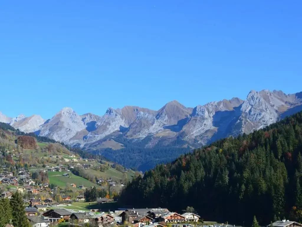 Appartement Le Grand-Bornand, 2 pièces, 5 personnes - FR-1-241-85 - Miniature 6