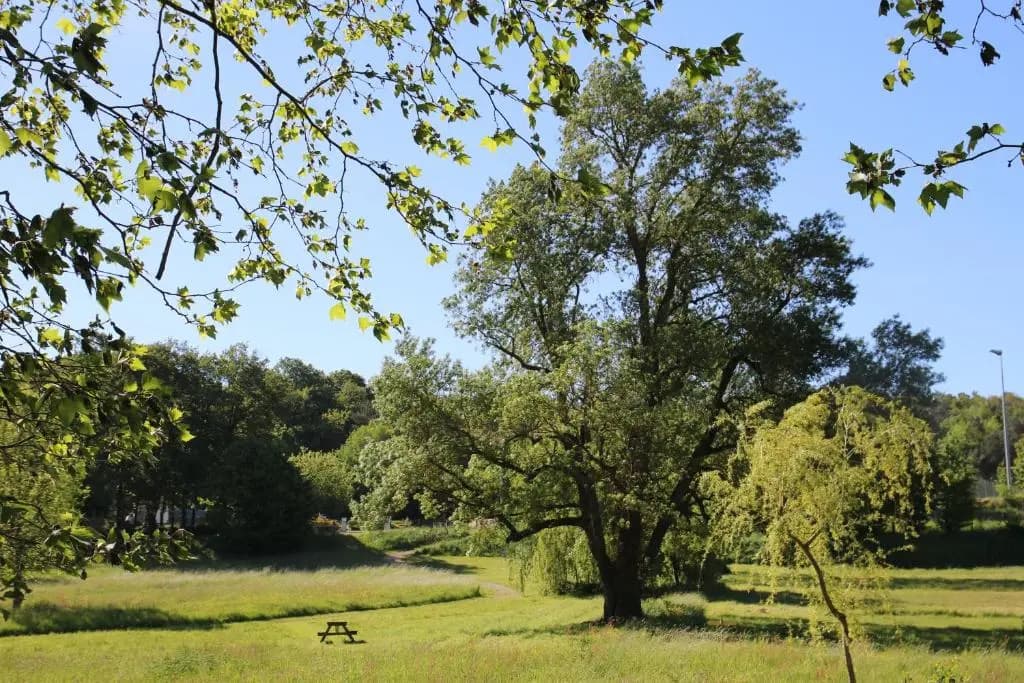 Bulle de campagne - Miniature 8
