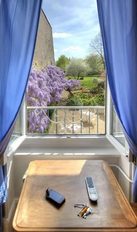 Hôtel de La Ferté - Miniature 7