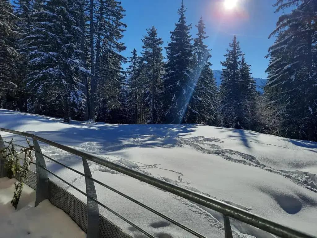 La Petite Foret Chamrousse 1700 - Photo 3