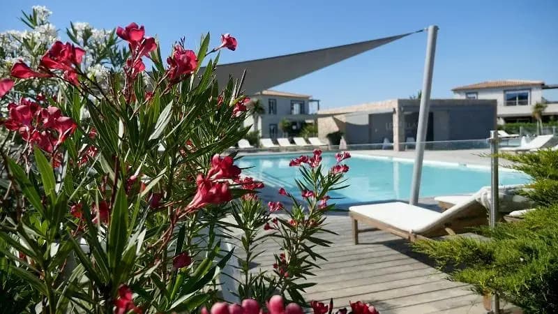 P&V Premium residence Les Villas de Porto- Vecchio - Miniature 7
