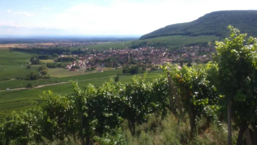 Gîtes & Chambes d'Hôtes Fugler - Miniature 6
