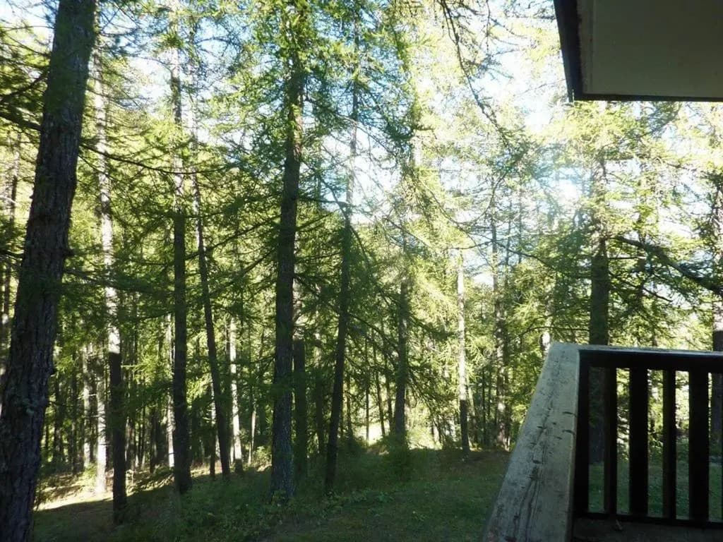 Appartement Les Orres, 2 pièces, 6 personnes - FR-1-322-154 - Miniature 7