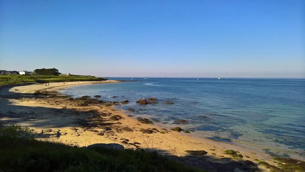 Goéland Argenté - Photo 5