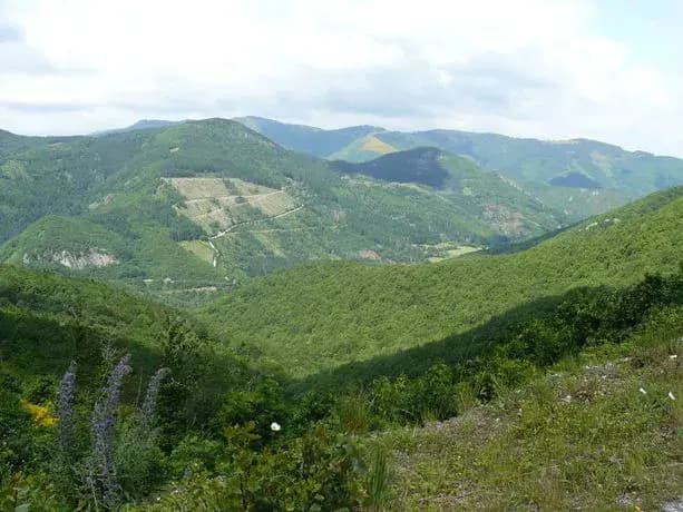 La Dent De Saint Jean - Photo 5