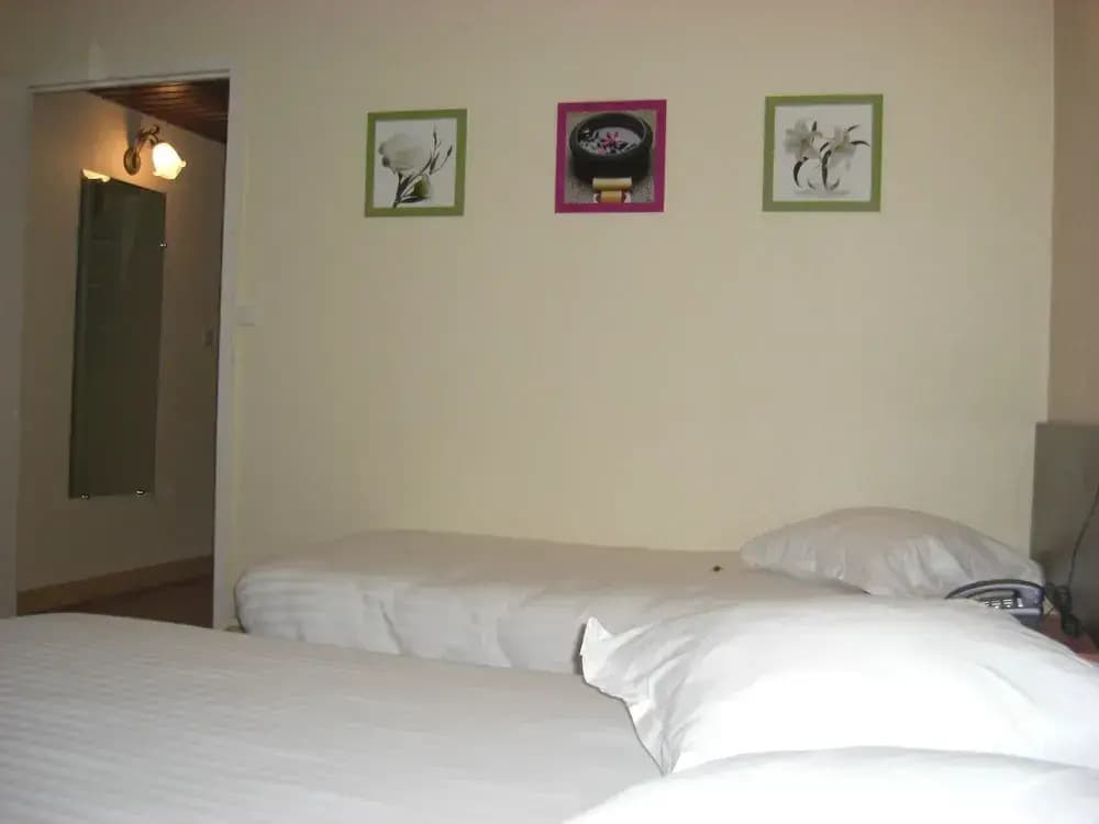 Brit Hotel Nevers 3* - Miniature 6