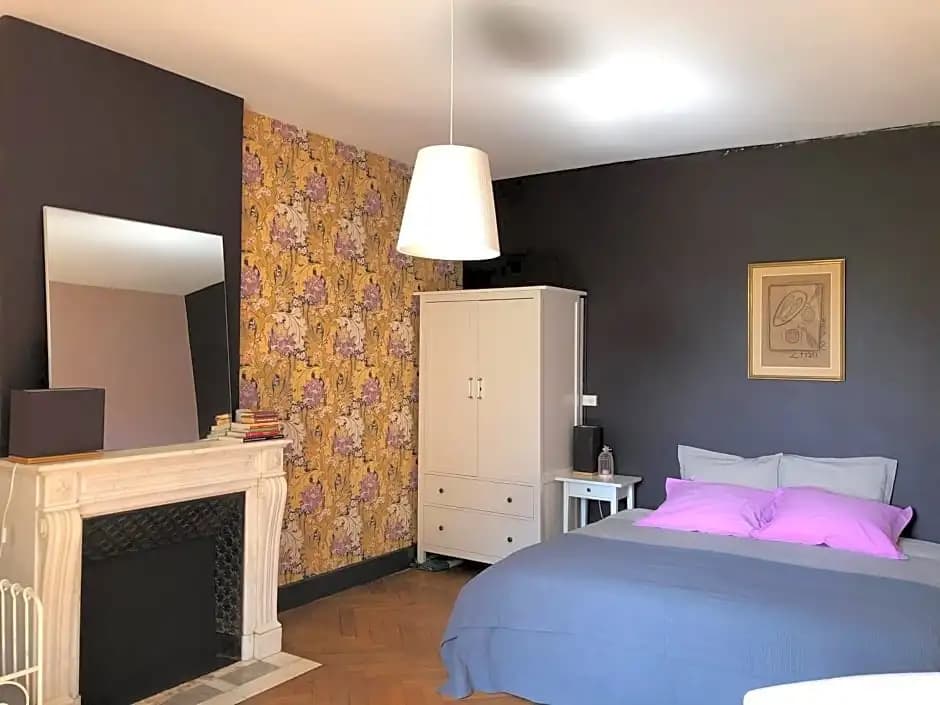 Château des Edelins - Photo 3