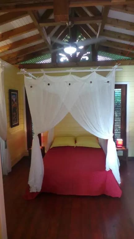L'escale Tropicale - Photo 5