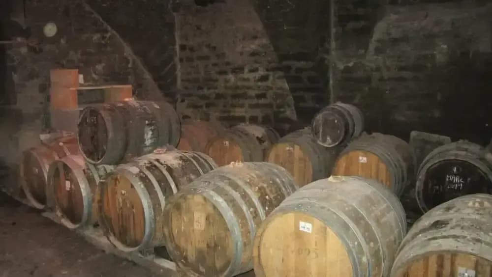 Chambres d'Hôtes La ferme de montard - Photo 5