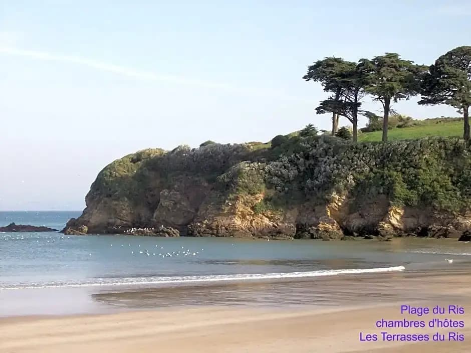 Les Terrasses du Ris - Photo 5